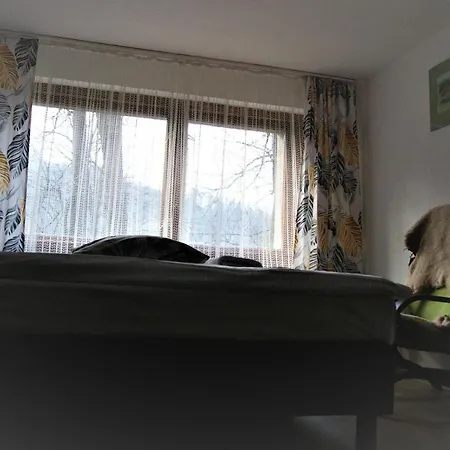 Apartament Wigar